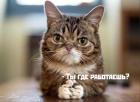 Прикрепленное изображение: OYyrguJooio.jpg