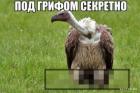 Прикрепленное изображение: 1606117651.jpg