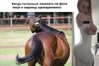 Прикрепленное изображение: 1605545207.jpg