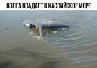 Прикрепленное изображение: 1604036230.jpg