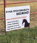 Прикрепленное изображение: 09.jpg