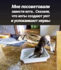 Прикрепленное изображение: 1637136910.jpg
