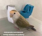 Прикрепленное изображение: IMG_20211128_135935_391.jpg