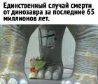 Прикрепленное изображение: Стегозавр 3.jpg