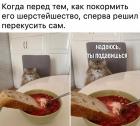 Прикрепленное изображение: Надеюсь ты подавишься.jpg