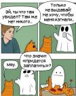 Прикрепленное изображение: Котик и призрак.jpg