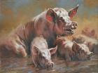 Прикрепленное изображение: ea1717572f40a73e9d443b6449f77dc7--sheep-pig-pig-pig.jpg