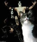 Прикрепленное изображение: evil_cat.jpeg