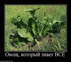 Прикрепленное изображение: 740XB_PgPgc.jpg