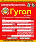 Прикрепленное изображение: google071114.jpg