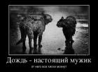 Прикрепленное изображение: 3-1.jpg