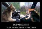 Прикрепленное изображение: 1338443918_1334043605_1302186960_j3jbnsp7jqt7.jpg