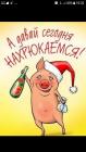 Прикрепленное изображение: IMG-20171231-WA0003.jpg