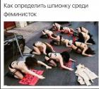Прикрепленное изображение: Шпионка.jpg