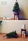 Прикрепленное изображение: ldsDe-gJ_Wc.jpg