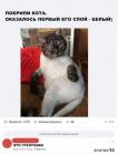 Прикрепленное изображение: 1577344533.jpg