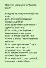 Прикрепленное изображение: Простой анализ мочи.jpg
