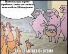 Прикрепленное изображение: 1607199270.jpg