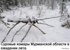 Прикрепленное изображение: 1607495024.jpg