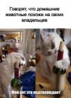 Прикрепленное изображение: 1607381357.jpg