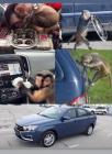 Прикрепленное изображение: IMG_20201221_142504_760.jpg
