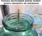 Прикрепленное изображение: 270252766_1167072384102043_6190916900962318826_n.jpg