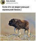 Прикрепленное изображение: 1639534909.jpg