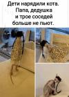 Прикрепленное изображение: 1638631216.jpg
