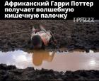 Прикрепленное изображение: CFEF2D0F-2306-4F35-99BC-2CEAD8B9EB33.jpeg