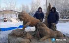 Прикрепленное изображение: 61ca93004e1d7.jpeg