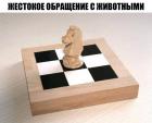 Прикрепленное изображение: 1638403352-1714c66c8d7dca25ea721ba04571c9f9.jpeg