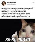 Прикрепленное изображение: Карьерный нарост.jpg