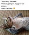Прикрепленное изображение: 1672389214.jpg