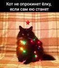 Прикрепленное изображение: Кот - елка.jpg